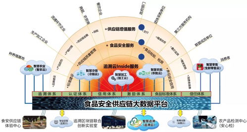科技賦能保食安 網(wǎng)絡(luò)信息技術(shù)開發(fā)助力盤錦鄉(xiāng)村振興